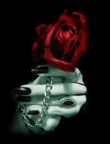Vampire Rose